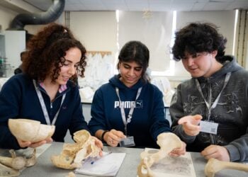 Three students in a science classroom examine human skulls and bones on a table, sharing a focused, curious discussion.