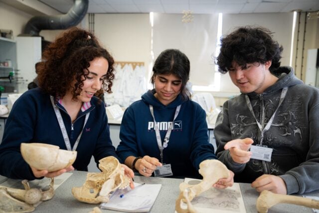 Three students in a science classroom examine human skulls and bones on a table, sharing a focused, curious discussion.